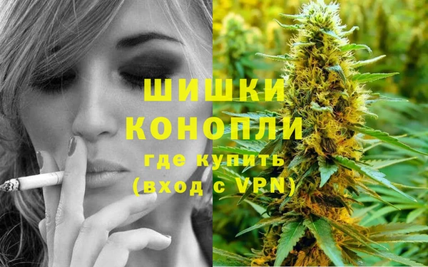 мяу мяу мука Каменногорск